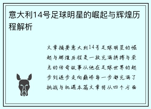 意大利14号足球明星的崛起与辉煌历程解析
