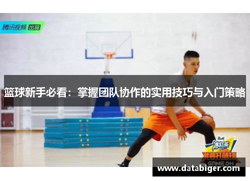 篮球新手必看：掌握团队协作的实用技巧与入门策略
