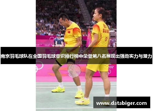 南京羽毛球队在全国羽毛球意识排行榜中荣登第八名展现出强劲实力与潜力