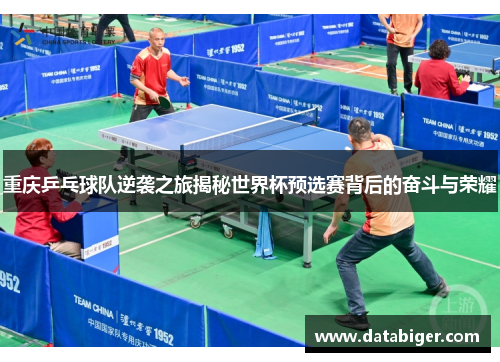 重庆乒乓球队逆袭之旅揭秘世界杯预选赛背后的奋斗与荣耀