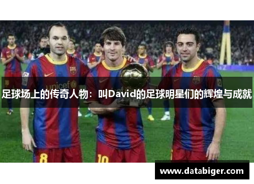 足球场上的传奇人物：叫David的足球明星们的辉煌与成就